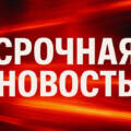 Тревога в Израиле: подозрение на Эболу